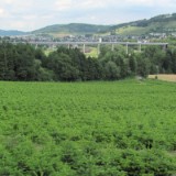 1007G 16 Ruhr Radweg